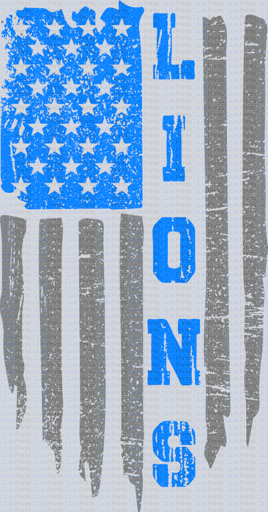 Lions Flag